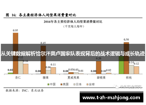 从关键数据解析恰尔汗奥卢国家队表现背后的战术逻辑与成长轨迹 从关键数据解析恰尔汗奥卢国家队表现背后的战术逻辑与成长轨迹